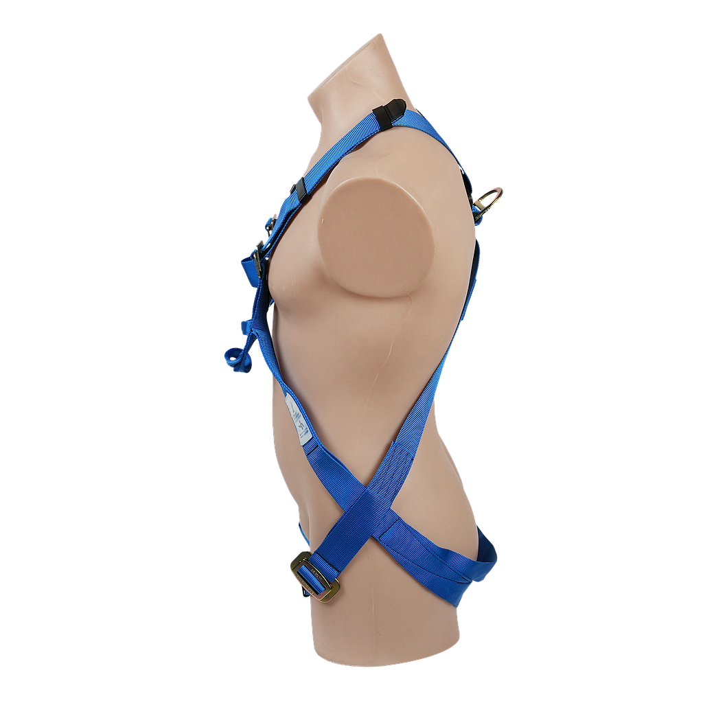 Full Body Harness with Lower Chest Loops | SBE2K
