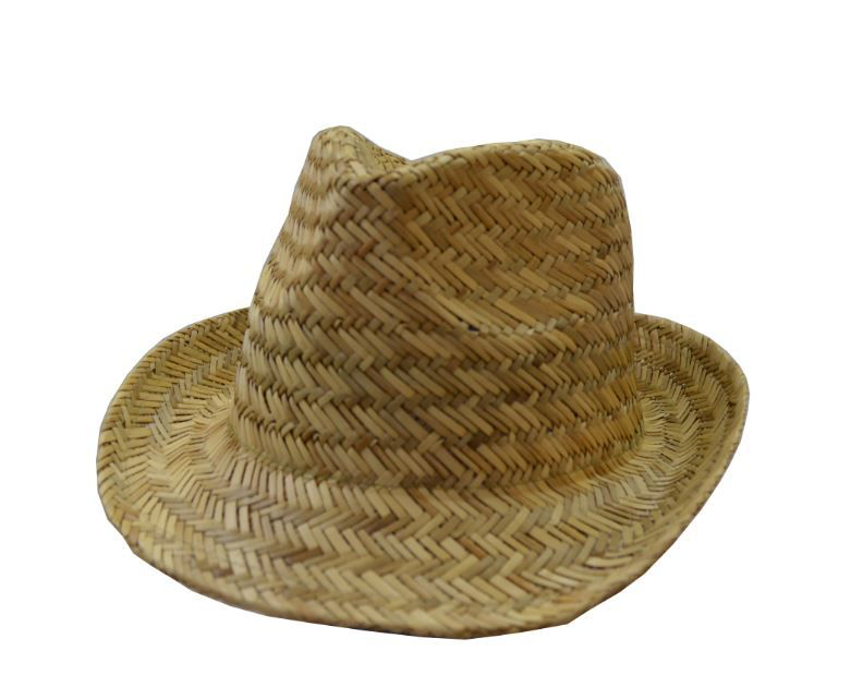 Straw Fedora Hat | 3968