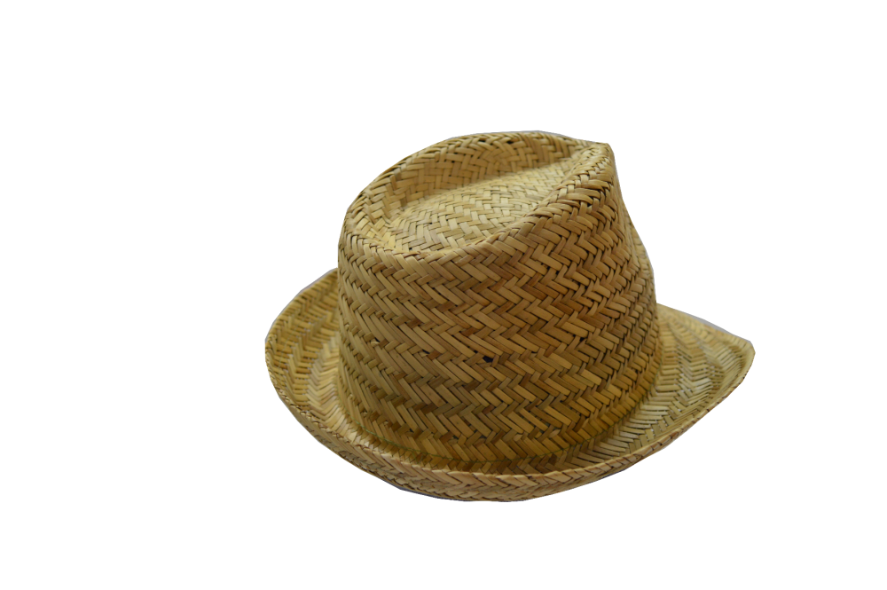Straw Fedora Hat | 3968
